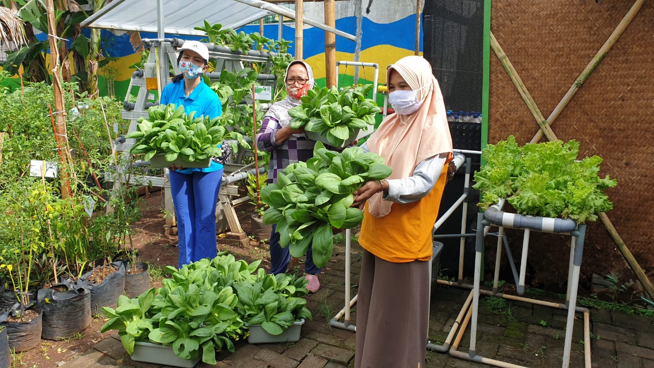Urban Farming